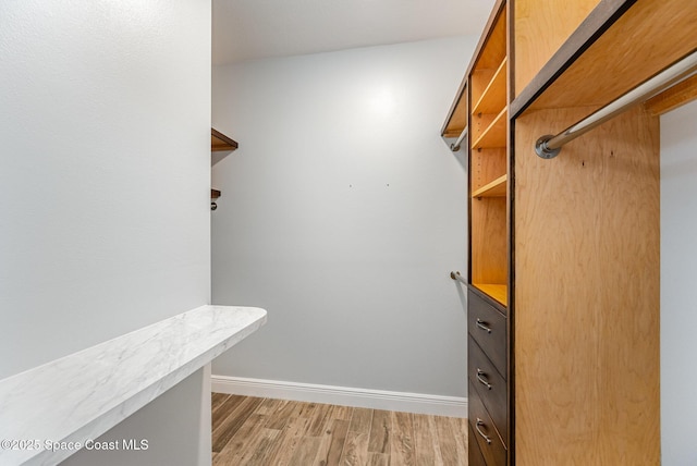 1534 Knoll Ridge Dr, Melbourne, FL 32940 - walk in closet with light wood finished floors