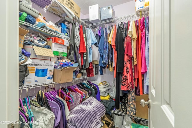 view of spacious closet