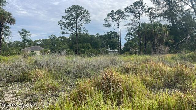 491 La Coco St SW, Palm Bay, FL 32908