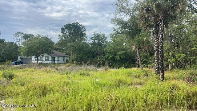 491 La Coco St SW, Palm Bay, FL 32908