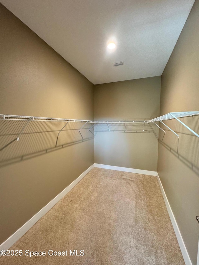 walk in closet with visible vents and carpet floors