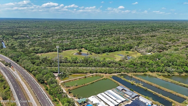 800 Hidden Oaks Ln, Oak Hill, FL 32759 - bird's eye view with a wooded view and a water view