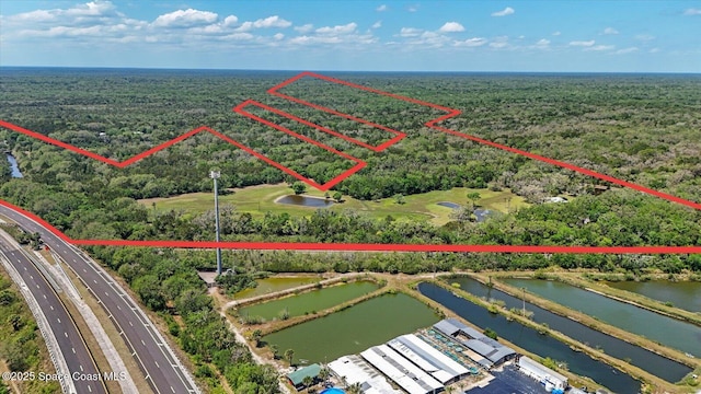 800 Hidden Oaks Ln, Oak Hill, FL 32759 - bird's eye view featuring a forest view and a water view