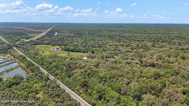 800 Hidden Oaks Ln, Oak Hill, FL 32759 - birds eye view of property featuring a view of trees and a water view