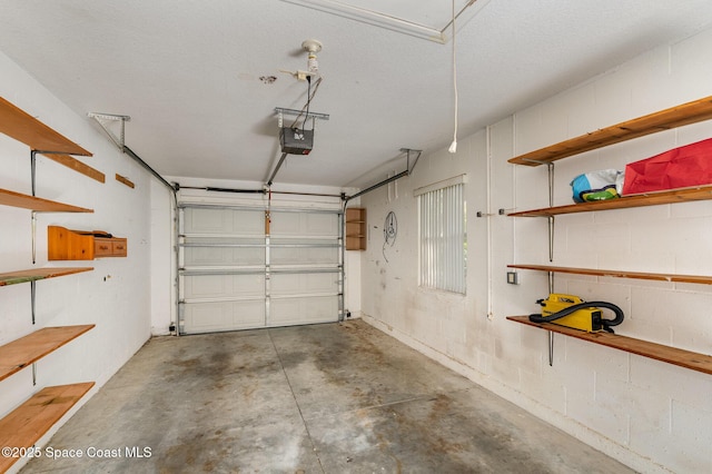 garage with a garage door opener