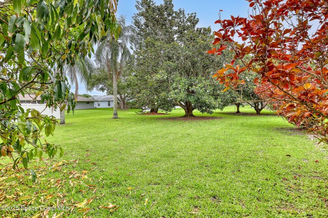 599 Port Malabar Blvd NE, Palm Bay, FL 32905 - photo 38