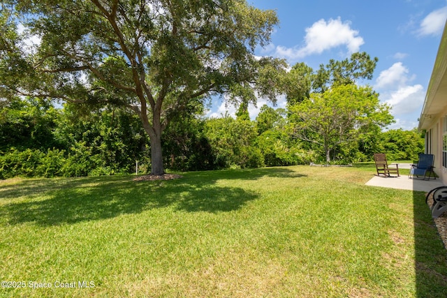 view of yard with a patio area