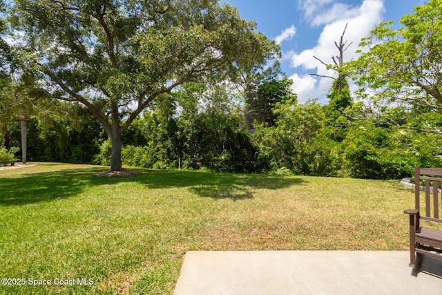 view of yard with a patio area