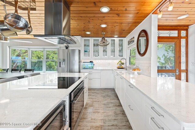 860 S Banana River Dr, Merritt Island, FL 32952 - kitchen featuring plenty of natural light, wood ceiling, ventilation hood, a sink, and stainless steel appliances