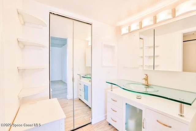 bathroom featuring wood finished floors and vanity