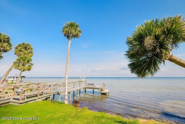 dock area with a water view