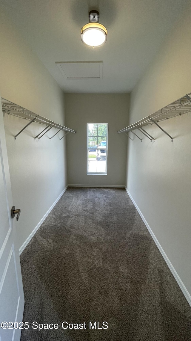 466 Stonehenge Cir, Rockledge, FL 32955 - spacious closet with carpet flooring and attic access