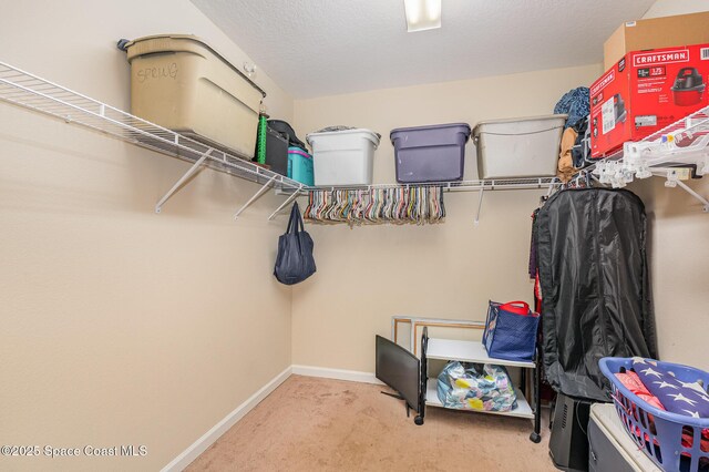 walk in closet with carpet flooring