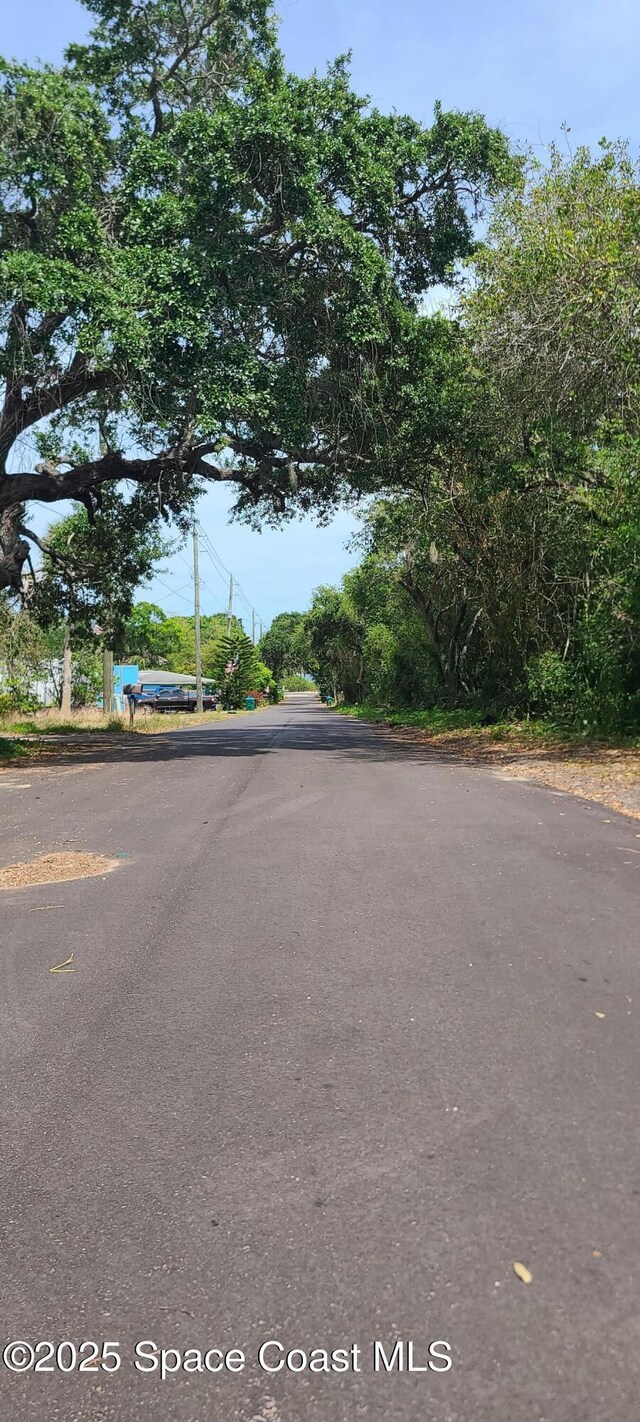 2920 Township Rd, Malabar, FL 32950 - photo 29