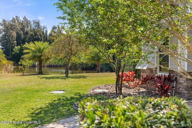 view of yard with a water view