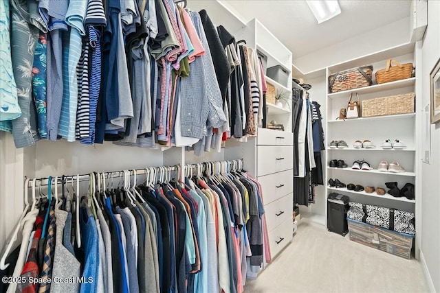 view of spacious closet