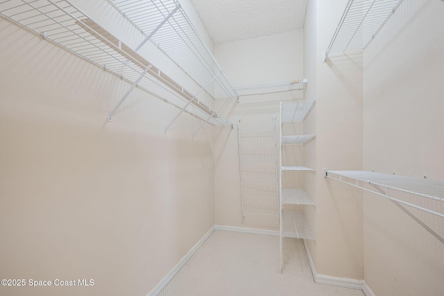 walk in closet with carpet