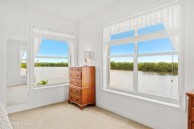 doorway with a water view, baseboards, light carpet, and a healthy amount of sunlight