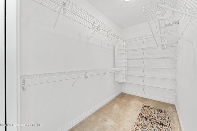 walk in closet featuring light carpet