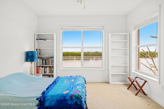 carpeted bedroom featuring baseboards and multiple windows