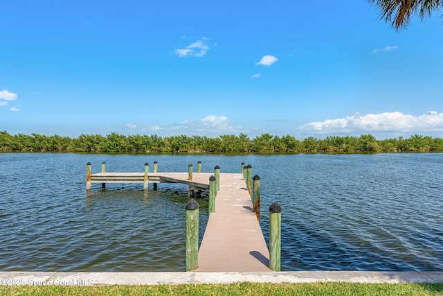 dock area featuring a water view