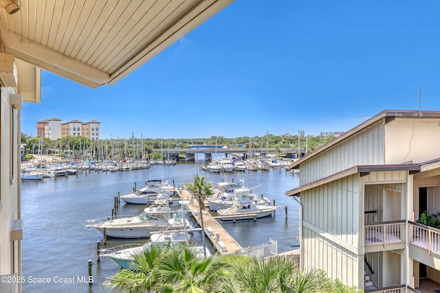 dock area with a water view