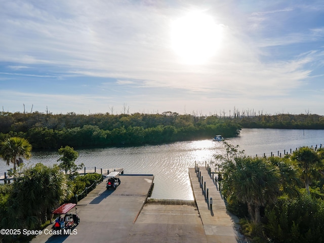 dock area with a water view and a view of trees