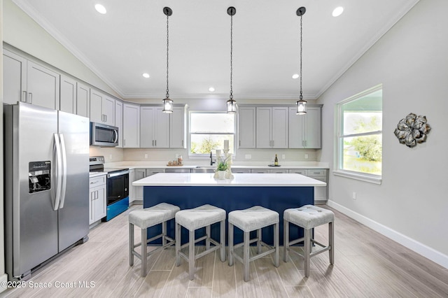 kitchen featuring crown molding, a wealth of natural light, vaulted ceiling, and stainless steel appliances
