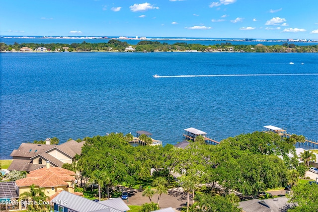 bird's eye view of a large body of water