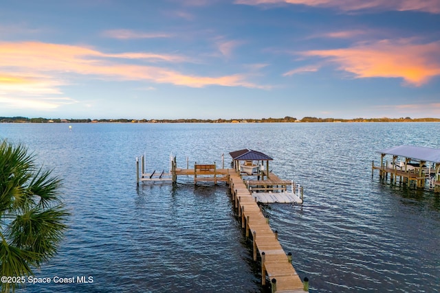 dock area with a water view