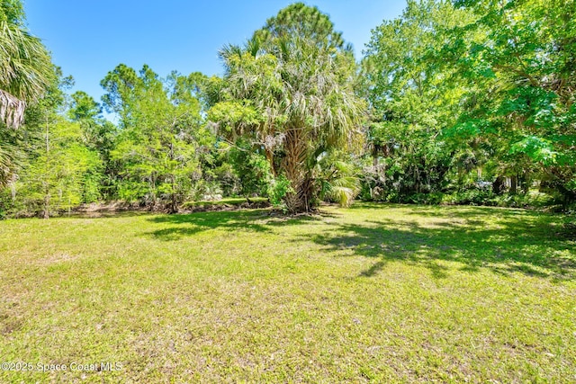 1812 Live Oak Dr N, Rockledge, FL 32955 - view of yard