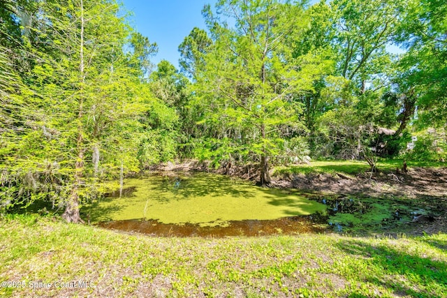 1812 Live Oak Dr N, Rockledge, FL 32955 - view of yard