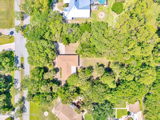 1812 Live Oak Dr N, Rockledge, FL 32955 - drone / aerial view
