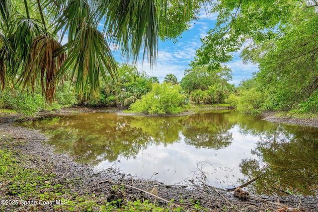 3592 S Park Ave, Titusville, FL 32780 - water view