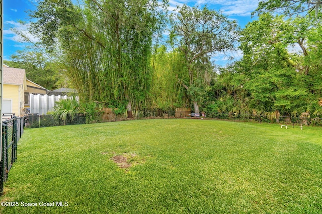 3592 S Park Ave, Titusville, FL 32780 - view of yard