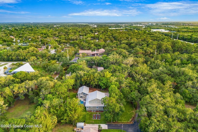 3592 S Park Ave, Titusville, FL 32780 - aerial overview of property's location with a forest