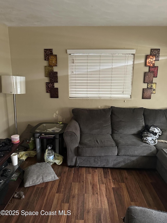 living area with wood finished floors