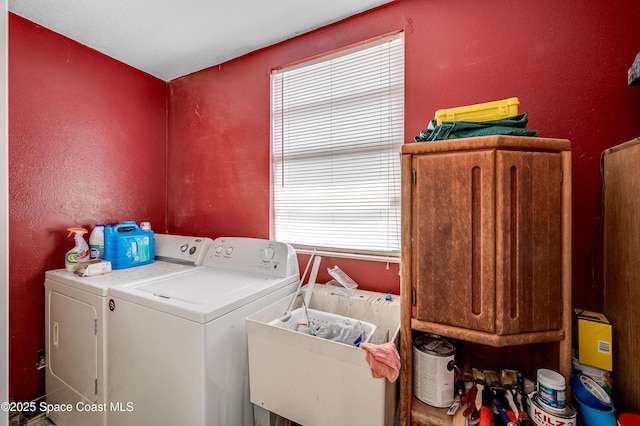 3350 Williams Ave, Grant-Valkaria, FL 32950 - photo 22