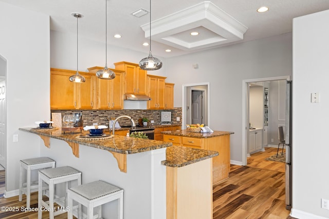 4800 Solitary Dr, Rockledge, FL 32955 - kitchen featuring under cabinet range hood, light wood-type flooring, visible vents, backsplash, and appliances with stainless steel finishes