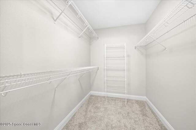 1204 Captiva Island Cir SW, Palm Bay, FL 32908 - spacious closet with carpet floors
