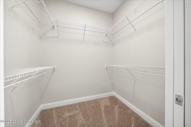 1035 Captiva Island Cir SW, Palm Bay, FL 32908 - walk in closet featuring carpet
