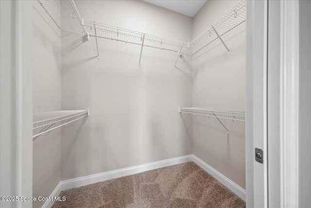 1035 Captiva Island Cir SW, Palm Bay, FL 32908 - spacious closet featuring carpet
