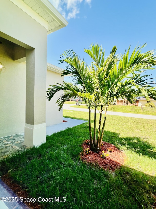 401 Homestead Ave NE, Palm Bay, FL 32907 - photo 4
