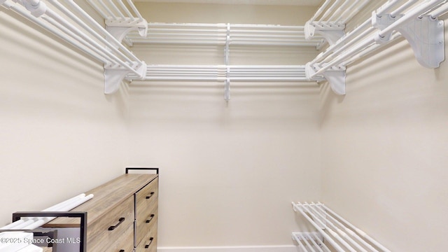 300 Columbia Dr Unit 203-2, Cape Canaveral, FL 32920 - view of spacious closet