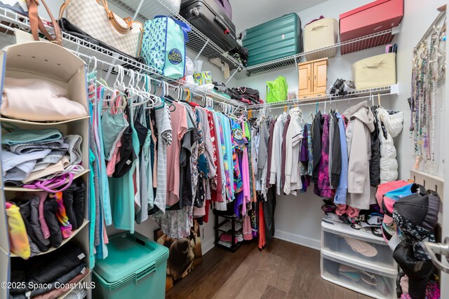 walk in closet featuring wood finished floors