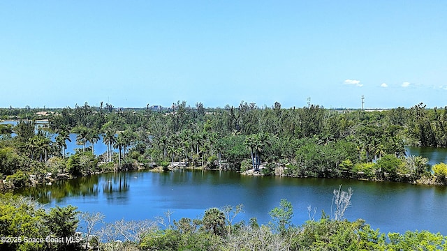 14380 Riva Del Lago Dr Unit 803, Fort Myers, FL 33905 - photo 20