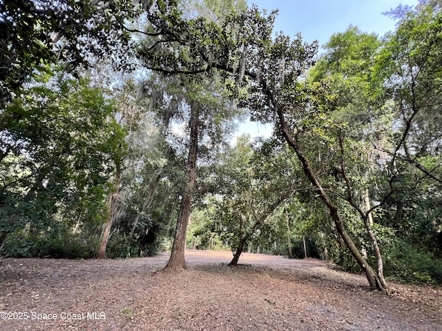 0000 Sandra Ln, Mims, FL 32754 - photo 11