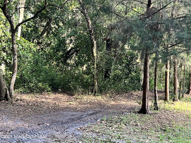 0000 Sandra Ln, Mims, FL 32754 - photo 10