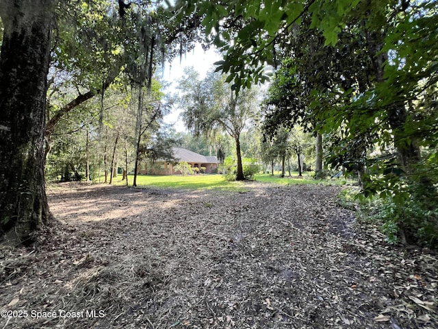 0000 Sandra Ln, Mims, FL 32754 - photo 9