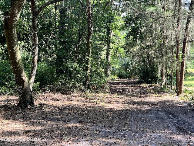 0000 Sandra Ln, Mims, FL 32754 - photo 8